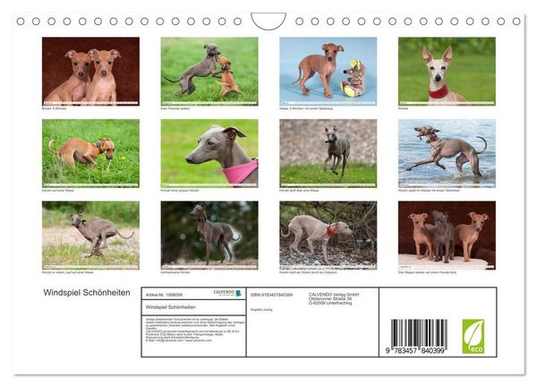 Produktbild: Windspiel Sch&ouml;nheiten (Wandkalender 2026 DIN A4 quer), CALVENDO Monatskalender