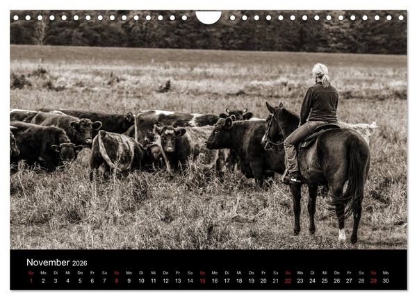 Produktbild: Westernreiten (Wandkalender 2026 DIN A4 quer), CALVENDO Monatskalender