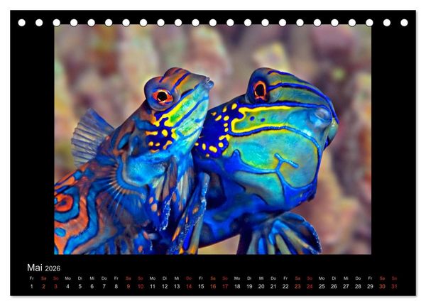 Produktbild: Ocean-Art / CH-Version (Tischkalender 2026 DIN A5 quer), CALVENDO Monatskalender