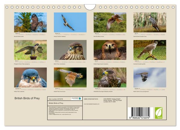 Produktbild: British Birds of Prey (Wall Calendar 2026 DIN A4 landscape), CALVENDO 12 Month Wall Calendar