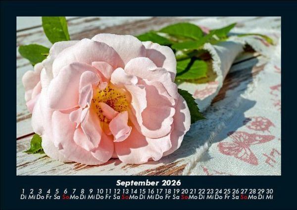 Produktbild: Blumentraum 2026 Fotokalender DIN A5