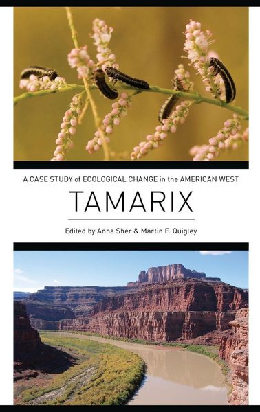 Produktbild: Tamarix