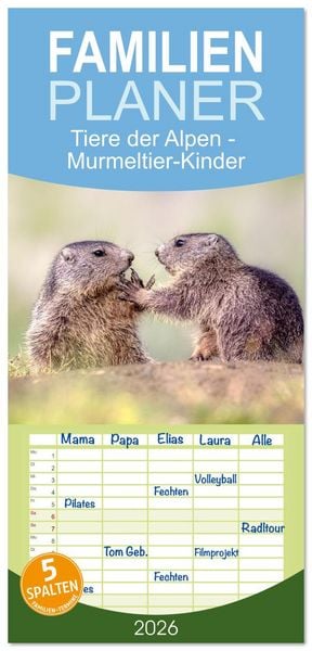Familienplaner 2026 - Tiere der Alpen - Murmeltier-Kinder mit 5 Spalten (Wandkalender, 21 x 45 cm) CALVENDO
