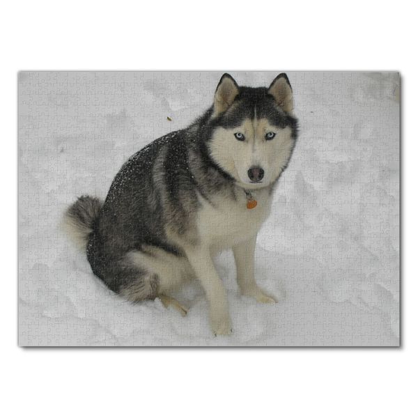 Produktbild: Lais Puzzle Husky 1000 Teile