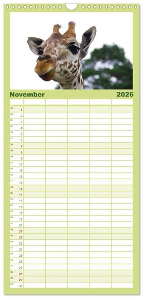 Produktbild: Familienplaner 2026 - Welt der Tiere mit 5 Spalten (Wandkalender, 21 x 45 cm) CALVENDO