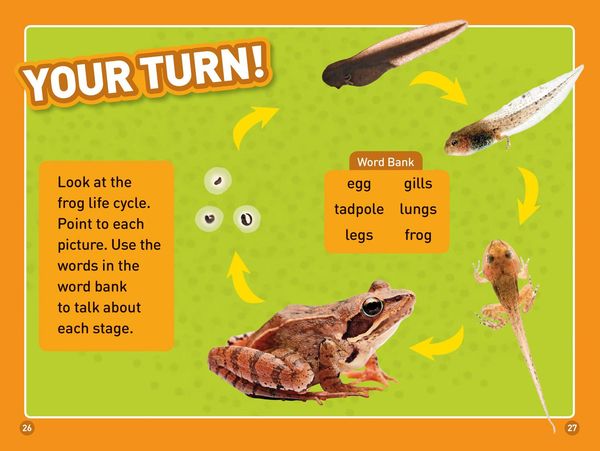 Produktbild: Tadpole to Frog (National Geographic Kids Readers, Level 1/Co-Reader)