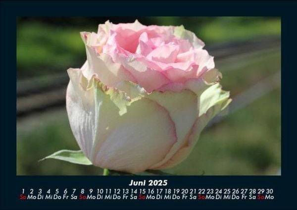Produktbild: Blumenzauber 2025 Fotokalender DIN A5