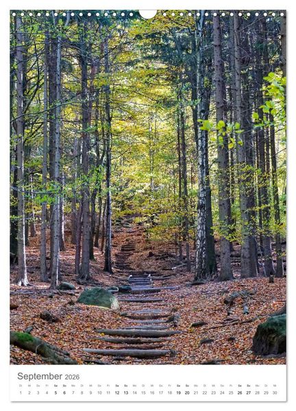 Produktbild: Wald - bezaubernde Landschaften (Wandkalender 2026 DIN A3 hoch), CALVENDO Monatskalender