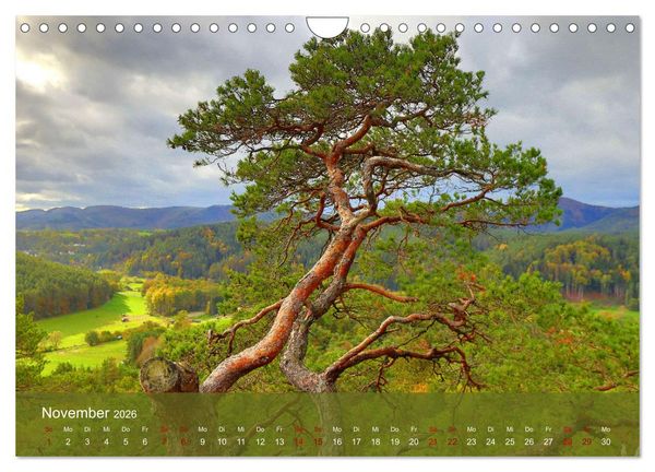 Produktbild: Wanderparadies S&uuml;dpfalz (Wandkalender 2026 DIN A4 quer), CALVENDO Monatskalender