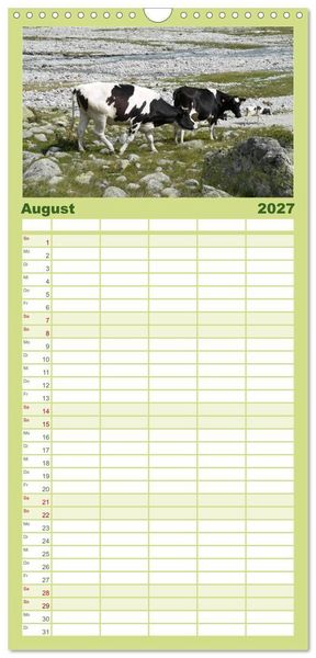Produktbild: Familienplaner 2027 - K&uuml;he mit H&ouml;rnern mit 5 Spalten (Wandkalender, 21 x 45 cm) CALVENDO