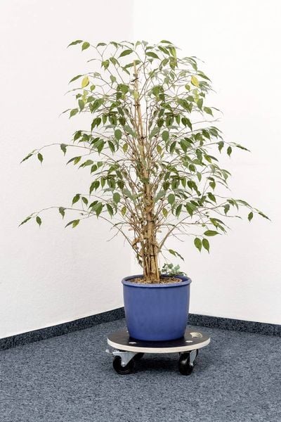 Produktbild: Metafranc WU0822040 Transportroller Traglast (max.): 200 kg 380 mm x 110 mm Anzahl Lenkrollen 4