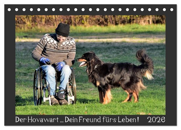 Produktbild: Der Hovawart... Dein Freund f&uuml;rs Leben ! (Tischkalender 2026 DIN A5 quer), CALVENDO Monatskalender