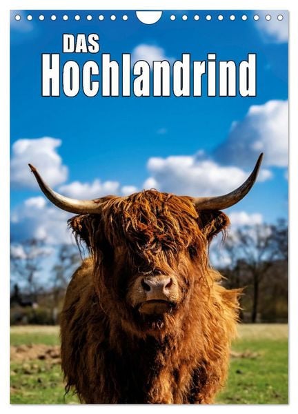 Produktbild: Das Hochlandrind im Fr&uuml;hjahr (Wandkalender 2026 DIN A4 hoch), CALVENDO Monatskalender