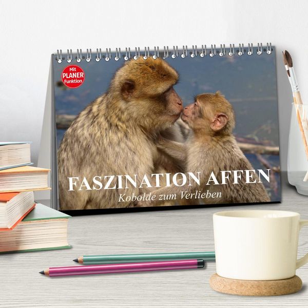Produktbild: Faszination Affen. Kobolde zum Verlieben (Tischkalender 2026 DIN A5 quer), CALVENDO Monatskalender