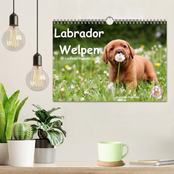 Produktbild: Labrador Welpen - Labrador Puppies (Wandkalender 2027 DIN A4 quer), CALVENDO Monatskalender