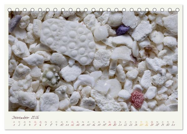 Produktbild: Abenteuer Mikrofotografie Sand (Tischkalender 2026 DIN A5 quer), CALVENDO Monatskalender