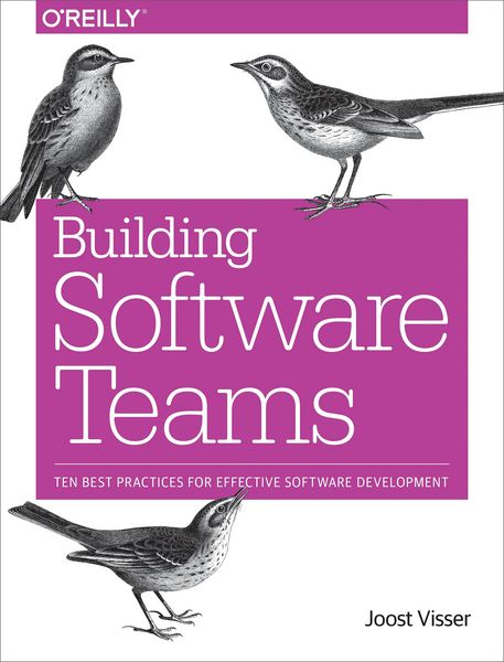 Produktbild: Building Software Teams