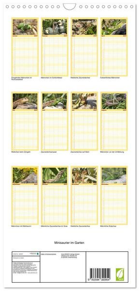 Produktbild: Familienplaner 2027 - Minisaurier im Garten mit 5 Spalten (Wandkalender, 21 x 45 cm) CALVENDO