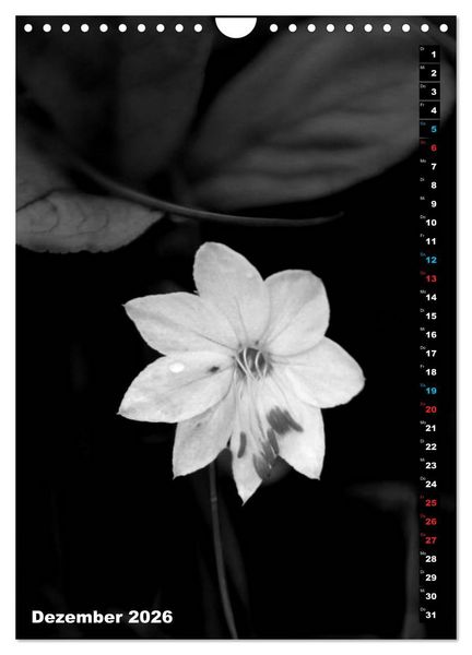 Produktbild: Blumige Graustufen - Schwarz und Wei&szlig; (Wandkalender 2026 DIN A4 hoch), CALVENDO Monatskalender