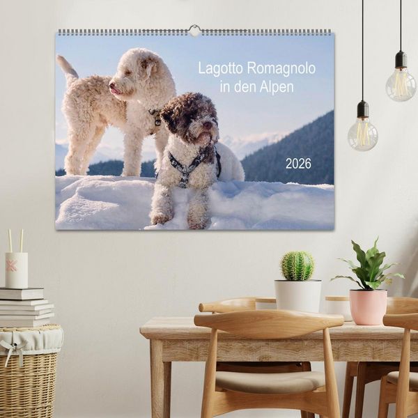 Produktbild: Lagotto Romagnolo in den Alpen 2026 (Wandkalender 2026 DIN A2 quer), CALVENDO Monatskalender