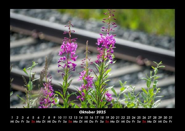 Produktbild: Blumenzauber 2025 Fotokalender DIN A3