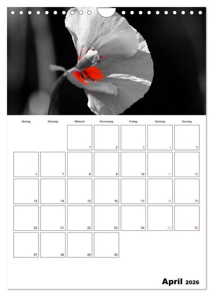Produktbild: schwarz/wei&szlig; trifft farbe - DEIN TERMINKALENDER / Planer (Wandkalender 2026 DIN A4 hoch), CALVENDO Monatskalender
