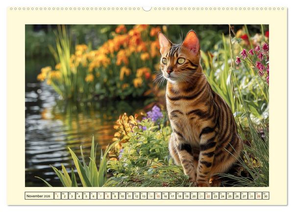 Produktbild: Toyger Katzen. Der exotische Mini-Tiger im Garten (hochwertiger Premium Wandkalender 2026 DIN A2 quer), Kunstdruck in Hochglanz