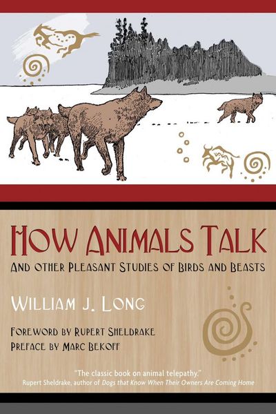 Produktbild: How Animals Talk
