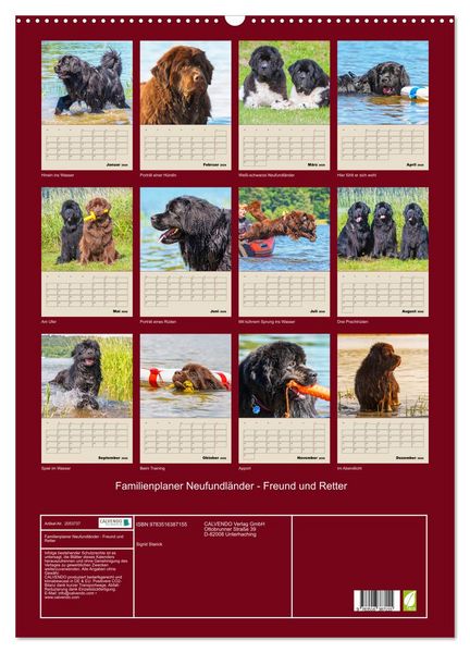 Produktbild: Familienplaner Neufundl&auml;nder - Freund und Retter (Wandkalender 2026 DIN A2 hoch), CALVENDO Monatskalender