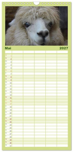 Produktbild: Familienplaner 2027 - Alpakas und Lamas mit 5 Spalten (Wandkalender, 21 x 45 cm) CALVENDO