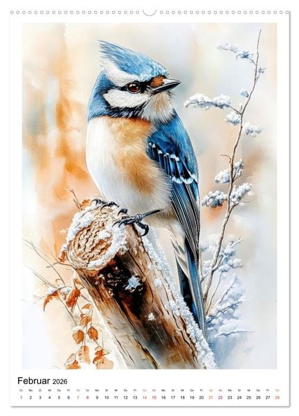 Produktbild: V&ouml;gel - gefiederte Freunde in unserem Garten (hochwertiger Premium Wandkalender 2026 DIN A2 hoch), Kunstdruck in Hochglanz
