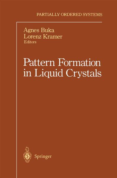 Produktbild: Pattern Formation in Liquid Crystals