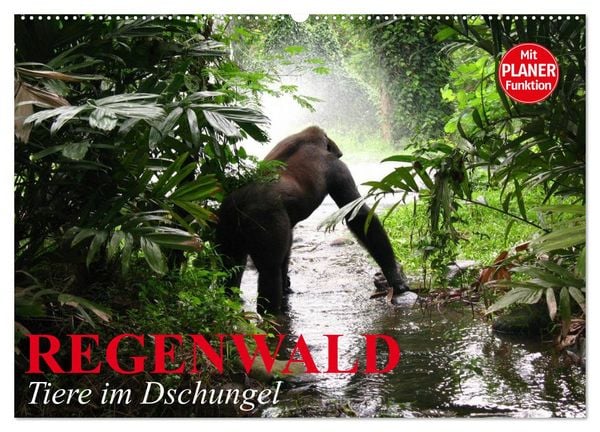 Produktbild: Regenwald. Tiere im Dschungel (Wandkalender 2026 DIN A2 quer), CALVENDO Monatskalender