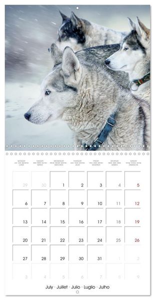 Produktbild: Des huskies adorables (Calendrier mural carr&eacute; 2026 30x30 cm) Calendrier double avec une page pour vos prises de notes