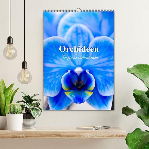 Produktbild: Orchideen - Tropische Sch&ouml;nheiten (Wandkalender 2026 DIN A2 hoch), CALVENDO Monatskalender