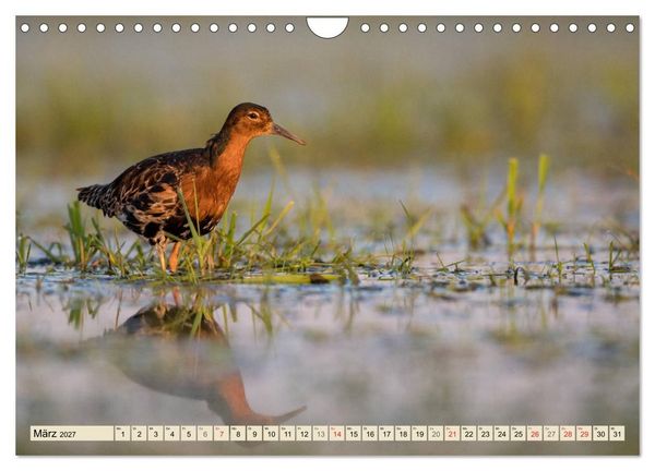 Produktbild: Niedersachsens Natur (Wandkalender 2027 DIN A4 quer), CALVENDO Monatskalender