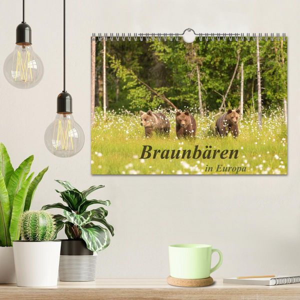 Produktbild: Braunb&auml;ren in Europa (Wandkalender 2026 DIN A4 quer), CALVENDO Monatskalender