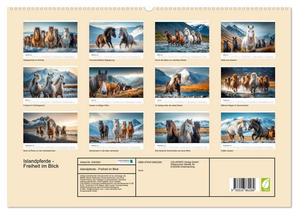 Produktbild: Islandpferde - Freiheit im Blick (hochwertiger Premium Wandkalender 2026 DIN A2 quer), Kunstdruck in Hochglanz