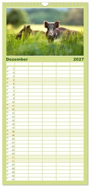 Produktbild: Familienplaner 2027 - Die Tiere des Waldes mit 5 Spalten (Wandkalender, 21 x 45 cm) CALVENDO