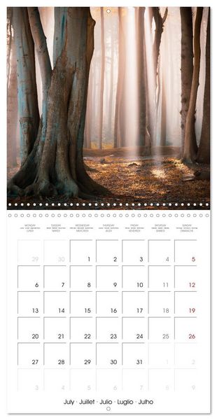Produktbild: This is Germany (Wall Calendar 2026 12 &times; 12 Inch) CALVENDO 12 Month Wall Calendar