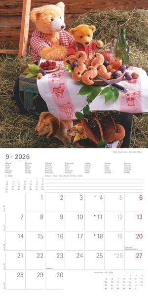 Produktbild: Teddy 2026 - Broschürenkalender 30x30 cm (30x60 geöffnet) - Kalender mit Platz für Notizen - Bildkalender - Wandkalender - mit herausnehmbarem Poster