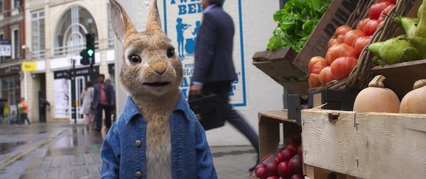 Produktbild: Peter Hase 2 - Ein Hase macht sich vom Acker