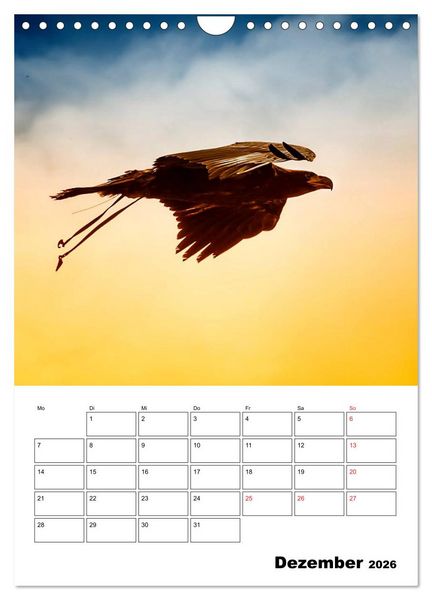 Produktbild: Raub- und Greifv&ouml;gel im Flug (Wandkalender 2026 DIN A4 hoch), CALVENDO Monatskalender