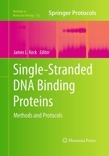 Produktbild: Single-Stranded DNA Binding Proteins