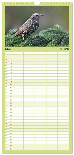 Produktbild: Familienplaner 2026 - Heimische Gartenv&ouml;gel mit 5 Spalten (Wandkalender, 21 x 45 cm) CALVENDO