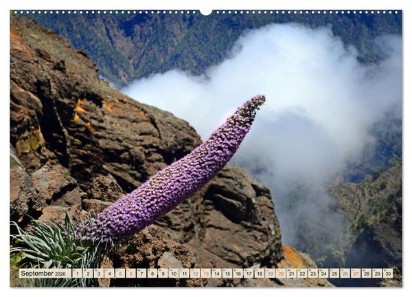 Produktbild: Magic Moments - LA PALMA (hochwertiger Premium Wandkalender 2026 DIN A2 quer), Kunstdruck in Hochglanz