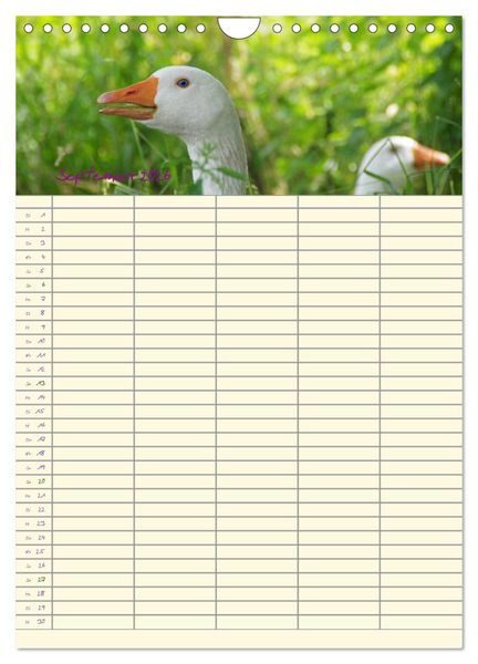 Produktbild: Der Naturgarten Familienplaner (Wandkalender 2026 DIN A4 hoch), CALVENDO Monatskalender