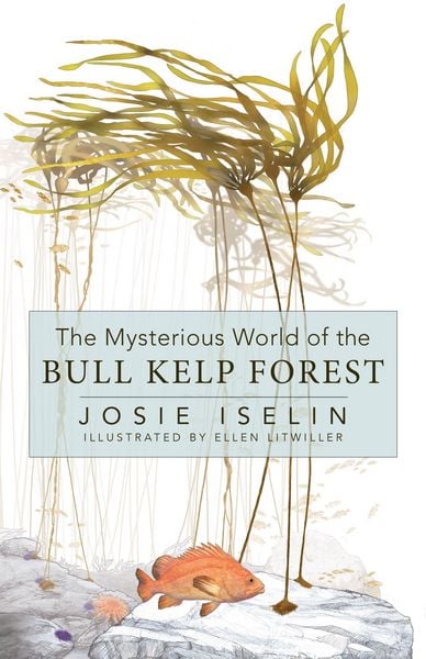 The Mysterious World of the Bull Kelp Forest, Gebundene Ausgabe von Josie Iselin, Ingram Publishers Services, 9781597147019