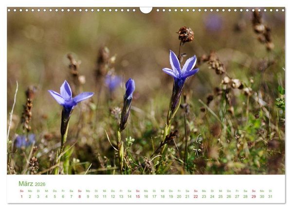 Produktbild: Bergwelt in &Ouml;sterreich (Wandkalender 2026 DIN A3 quer), CALVENDO Monatskalender