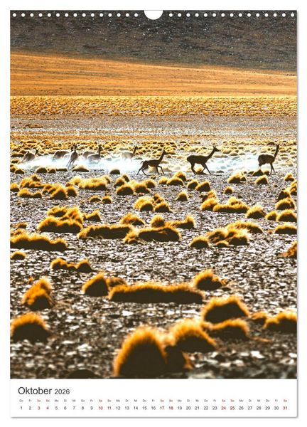 Produktbild: Chile - Ein unentdecktes Paradies. (Wandkalender 2026 DIN A3 hoch), CALVENDO Monatskalender